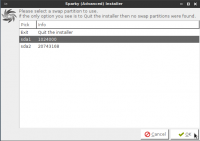 Choose SWAP partition